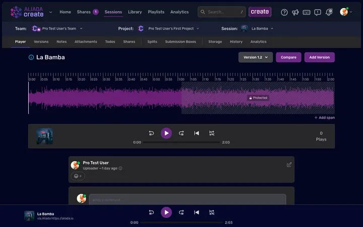 The Aliada session detail page showing the team/project/session selector, activity tabs, waveform, and player